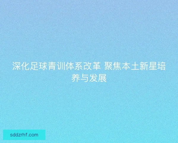 深化足球青训体系改革 聚焦本土新星培养与发展